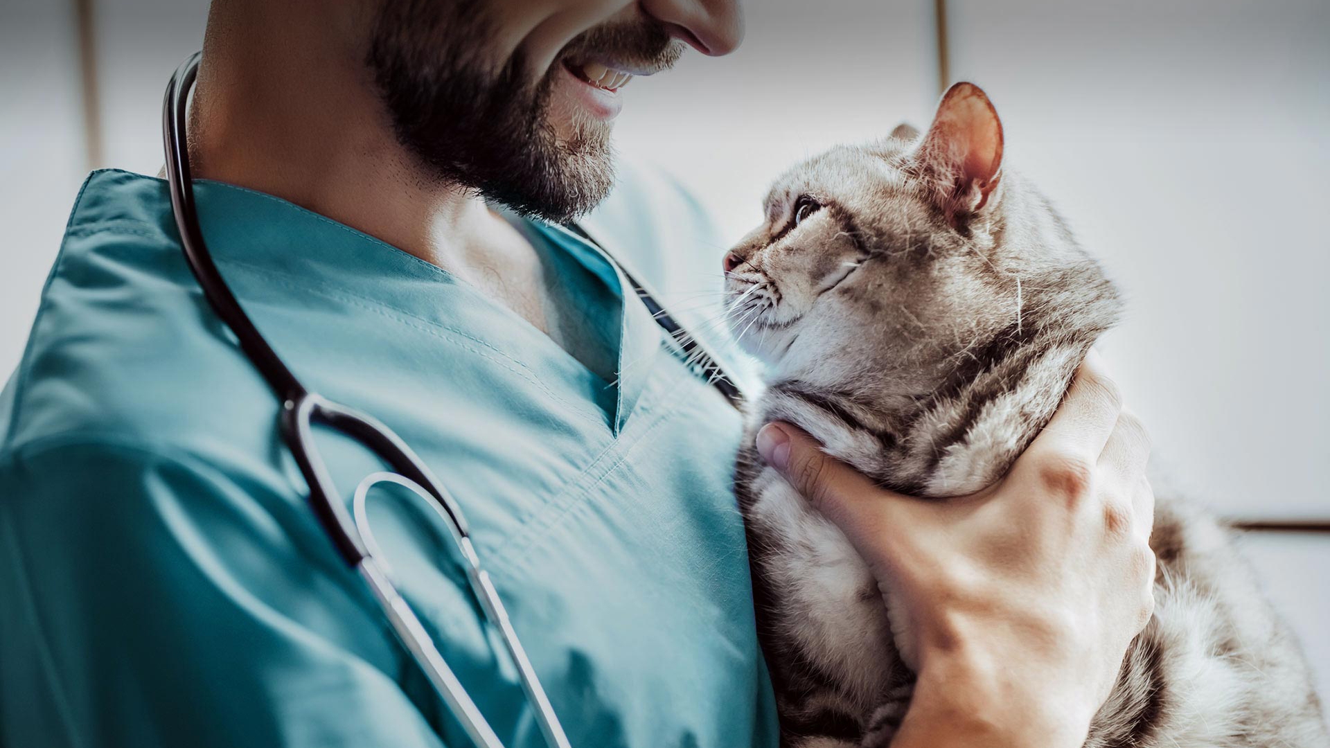 Altıeylül Veteriner